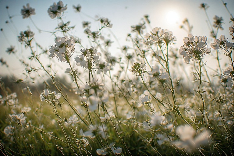 Mengubah Momen Biasa Menjadi Pengalaman yang Lebih Berarti